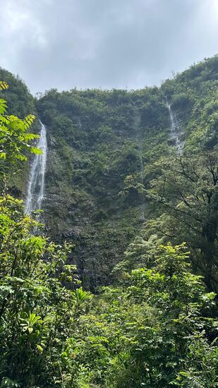 Da sind wir am „Waimoko Wasserfall“