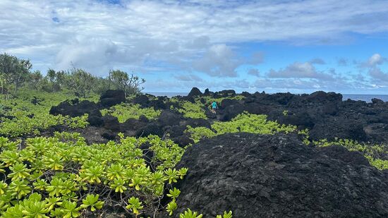 Wir können hier einen schönen Trail auf den dicken Lavabrocken machen