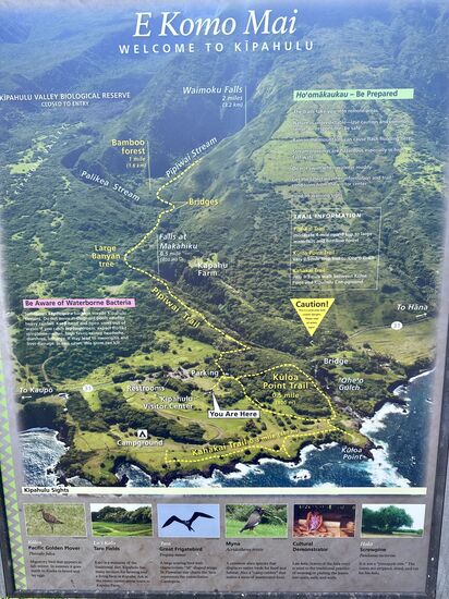 Wie immer: gut beschildert , der Trail