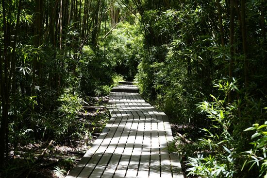 Zum Glück ist es schattig, aber schwül und die Mücken attackieren mich 