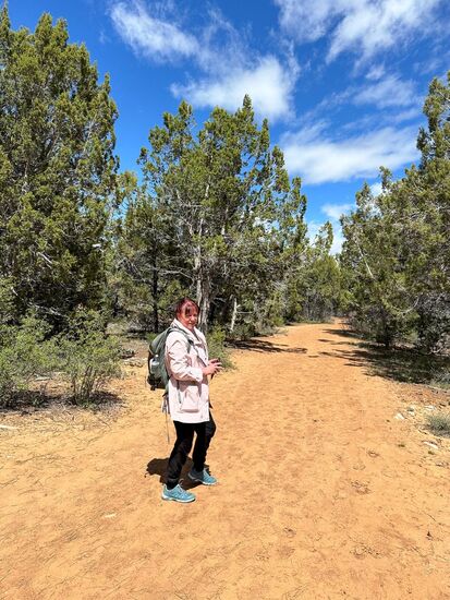 Los gehts: der Shuttle kann/will uns nicht bis zum Trail Head bringen - angeblich hat der Regen den Weg unpassierbar gemacht. Davon merken wir aber nichts. Bedeutet, dass wir ca. 3 Meilen zusätzlich wandern werden. Insgesamt sind es jetzt 15-16 km für Hin- und Zurück.
Ist das Wetter nicht grandios??