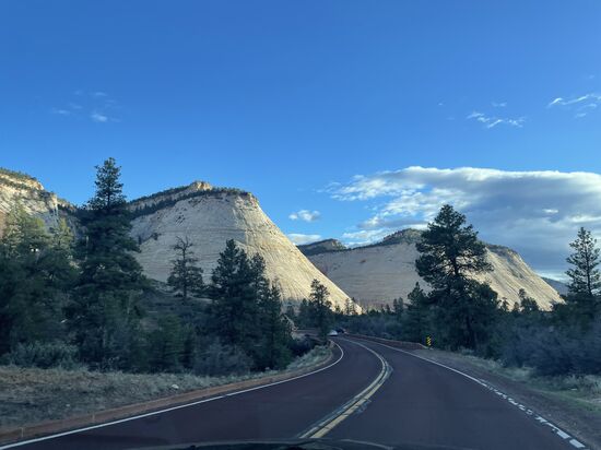 Es geht zurück und anschließend wieder Richtung Park und nach Springdale.