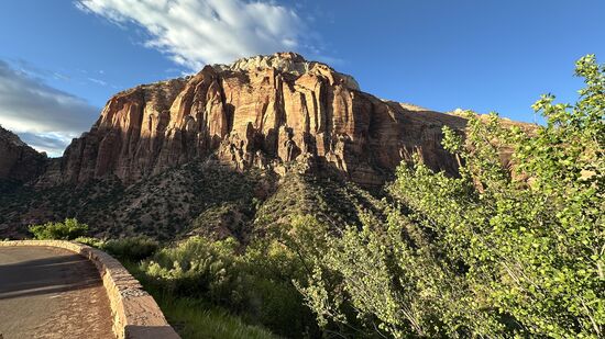 Wir sind wieder im Zion Canyon. Es geht in Serpentinen hinab.