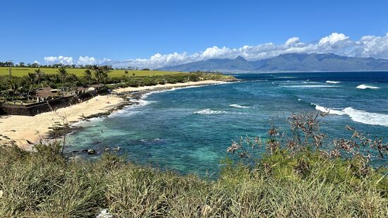 Kurz hinter Paia befindet sich der „Hookipa Park“ ein Strand für Surfer und hier liegen die vielen Meeresschildkröten