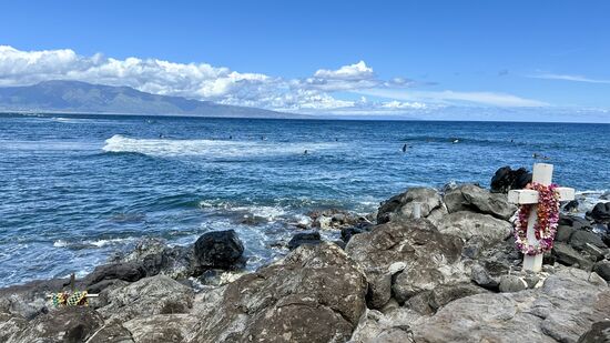 Wir kraxeln über die Lavafelsen, um den Tieren etwas näher zu kommen und gleichzeitig die Surfer zu beobachten—leider gab es wohl auch hier schon einige tödliche Unfälle….