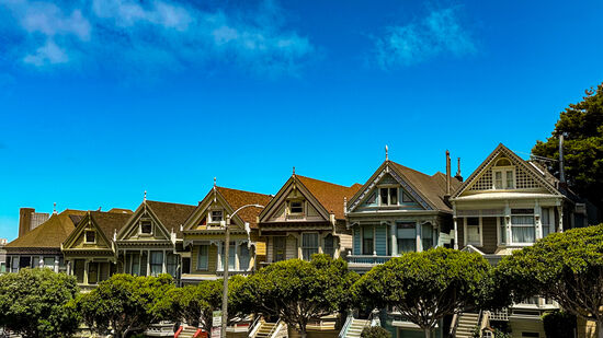 Die  „Painted Ladies“- der Name stammt von der Übersetzung geschminkte Frauen ab- den Namen bekamen sie 1978 von 2 Autoren