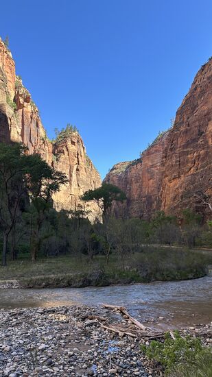 Hier hat der Virgin River wieder viel Platz; weiter oben ist zwischen den Felswänden kaum mehr als 6-8 Meter Breite. Die Felswände an den Seiten sind bis zu 400 Meter hoch.