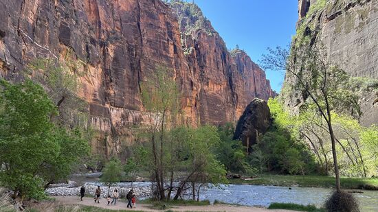 Wir machen uns auf den Rückweg. Im Schatten ist es frisch, in der Sonne herrlich.