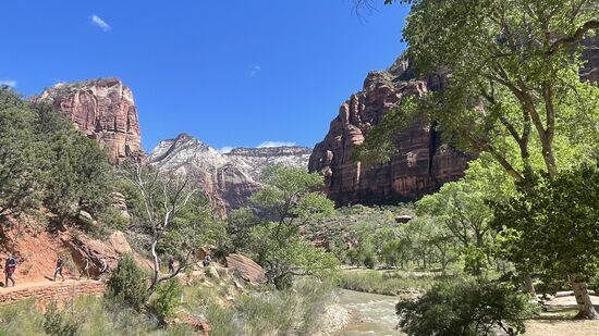 Dieser Stopp ist der Startpunkt Richtung Angels Landing bzw.  Emerald Pools Trail. Wir gehen in Richtung Angels Landing.