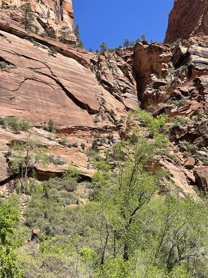 Ich entscheide mich, den Trail bis zum Scout Lookout  zu gehen. Thomas winkt ab. Er ist 2019 ganz oben gewesen. Nach seinem HI traut er sich diese Belastung nicht mehr zu. Er geht zurück zum Fluß, fotografiert, findet reichlich Gesprächspartner aus Delaware und Rumänien und wartet auf meine Rückkehr.
