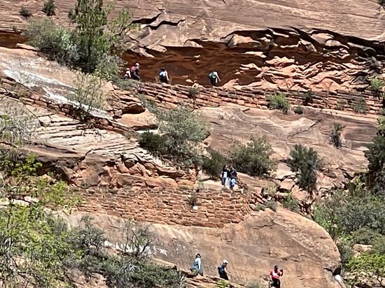 21 switchbacks (Walter´s wiggles) haben es in sich - 500 Höhenmeter sind zu überbrücken.