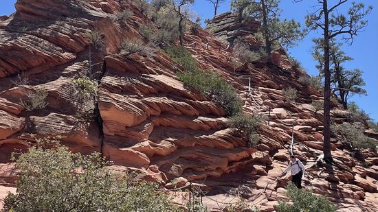 Schade…da wäre ich gern hoch…
Es gibt jeden Tag nur 500-800 Permits, die über ein Losverfahren vergeben werden. Schon 3 Monate vorher sind die Permits häufig vergriffen. 
Über die Website www.recreation.gov kann man an der Verlosung teilnehmen. Die Gebühr betragt 1 USD.
Das letzte Stück ist sehr schmal und man hält sich an Ketten fest. Es gab hier Zeiten, zu denen Hunderte Personen gleichzeitig an den Ketten waren und es nicht mehr vor und zurück ging. Es hat auch bereits viele Todesfälle gegeben. Nach den letzten tödlichen Unfällen hat man das Permit-System eingeführt und die täglichen Hiker limitiert. Außerdem achten die Ranger nur auf ordentliches Schuhwerk. Thomas hat erzählt, dass er selbst einige junge Menschen in FlipFlop gesehen hat, als er dort oben war.