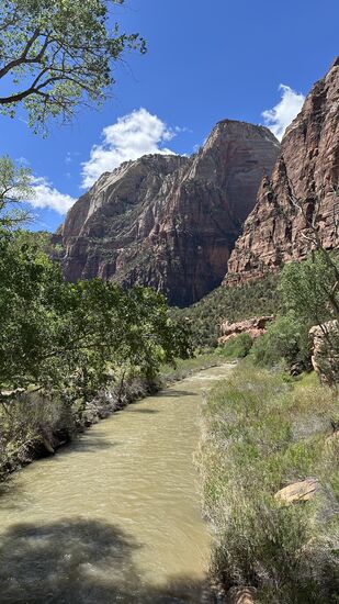 Es geht für mich zurück zum Shuttle-Stop, wo Thomas wartet. Berg hoch ist für mich einfacher als runter, deshalb dauert der Rückweg gefühlt länger.
