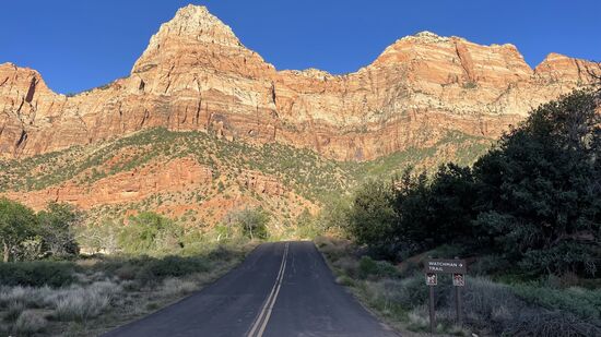 Das Abendlicht leuchtet wunderschön auf die Berge. Zum Abschluss des Tages wollen wir noch den Watchman Trail wandern. Der Trailhead ist bei den Parkplätzen der Busse in der Nähe des Visitor Centers.