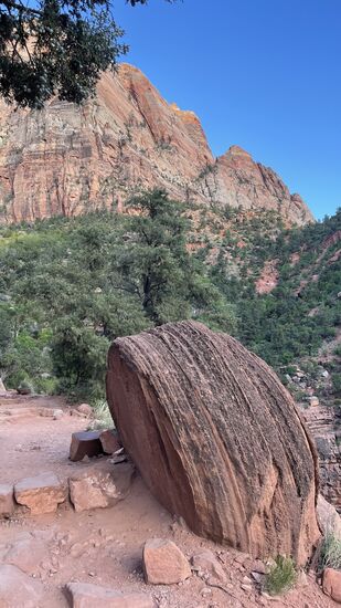 Das erste Stück ist recht steil, überall liegen große Felsen am Weg.
