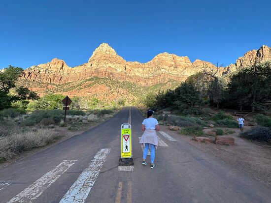 Hier beginnt der Trail. Er ist 5 km lang und auf dieser Länge ca. 100 Höhenmeter.