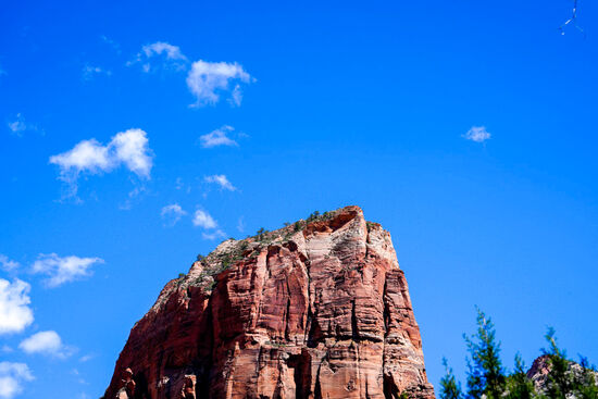 Da oben sind die glücklichen � 