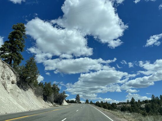 Nach etwa 50 km wollen wir den „Belly of the Dragon“—eine interessante Höhle besuchen
