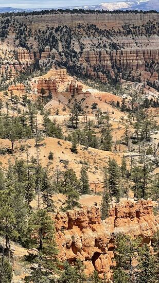 Wir sind zügig in Bryce Canyon City - unmittelbar vor dem Parkeingang. Das „Best Western Plus Ruby´s Inn“ ist unsere Bleibe für die nächste Nacht. Ein sehr großes Hotel mit vielen Nebengebäuden, Geschäften und Restaurant (welches sehr empfehlenswert ist). Leider können wir um 14:00 Uhr noch nicht einchecken. Darum fahren wir in den Park, gehen ins Visitor Center, wo Thomas einen Stempel für sein Passbook der NP holt und fahren dann mit dem Shuttlebus zu Punkt 13: das ist der Sunrise-Point und von hier aus geht der geplante Trail los.