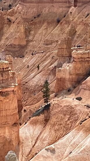 Wir sehen beim Runterlaufen in weiter Ferne auf der anderen Seite viele Menschen, die auf dem Weg nach oben sind.