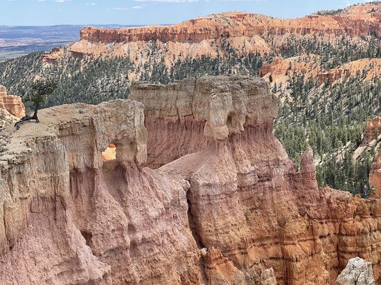 Ich bin echt geflasht! Thomas amüsiert sich über meine Wunderei