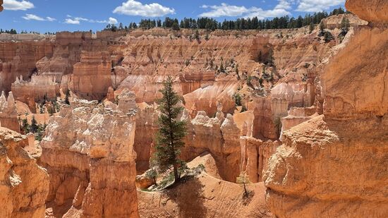 Runter ist für mich nicht so optimal - ich gehe lieber bergauf.