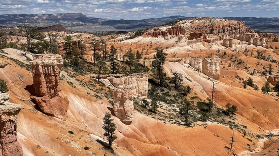 Ich bin SO glücklich, dass ich dies sehen und erleben darf.