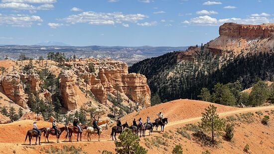 Diese Gruppe ist den Horse Trail runter - dort dürfen nur die Pferde laufen.