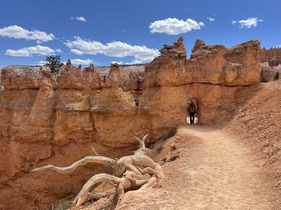 Jetzt sind wir fast unten ...