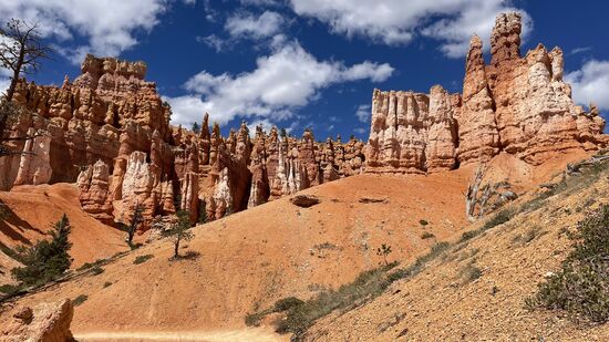 Unglaublich diese Kulisse: das Ganze nennt sich Amphitheater und ist so über Millionen Jahre hinweg erodiert. Der rosa-orange Farbton ist dominierend. Die Felsen haben unterschiedliche Härten, das sorgt auch für die sehr unterschiedlichen bizarren Formen.