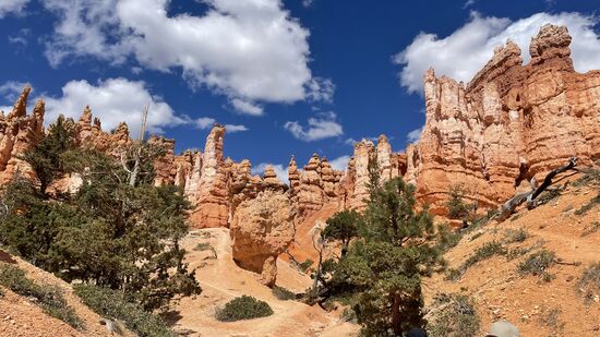Weiterer Bereich des Amphitheaters am Boden des Canyon.