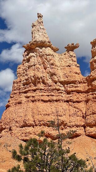 Wir sind vom Trail in ein dead end gelaufen. weil es hier eine besondere Sehenswürdigkeit gibt: erkennt es jemand? Auf dem Fels links steht Queen Elisabeth.