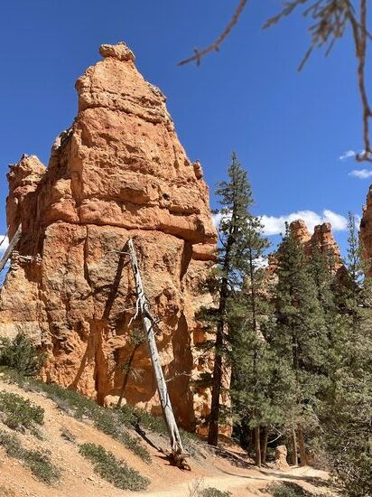 Nach einer kleinen Pause im Schatten treten wir den Aufstieg in Richtung Wall Street an.