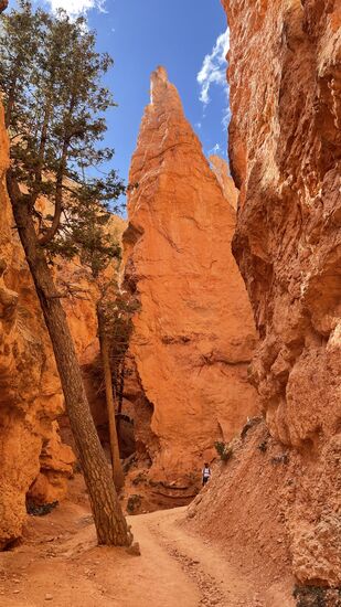 Uns eröffnen sich immer wieder weitere Schönheiten. Wir können uns nicht sattsehen und deshalb brauchen wir auch länger, als angegeben.