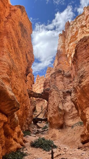 Zwei natürliche Steinbrücken