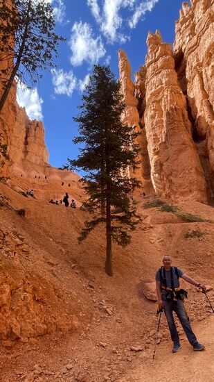 Ja, ob wir wollen oder nicht: diese Serpentinen müssen wir jetzt hoch.