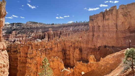 Hier ein Blick auf die Wallstreet. Sie ist ein weiterer Loop, der aber zurzeit gesperrt ist, da Steinschlag die Serpentinen verschüttet hat. Man hofft zum Labour Day die Strecke wieder freigeben zu können.
