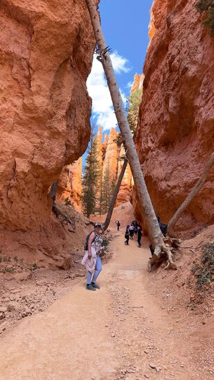 Und hier beginnt jetzt der etwas beschwerliche Aufstieg.