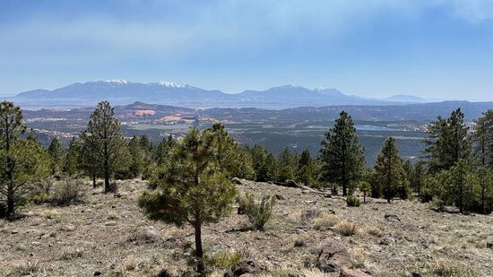 Es ist auffällig , wie wenig Zivilisation es gibt