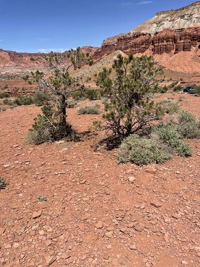 Nach 3 Stunden erreichen wir den Park und besuchen zuerst das Visitor-Center