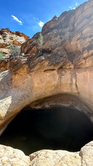 Leider sind alle ziemlich leer