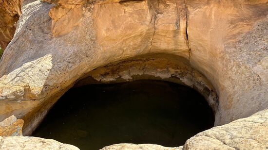 In einem einzigen befindet sich etwas Wasser