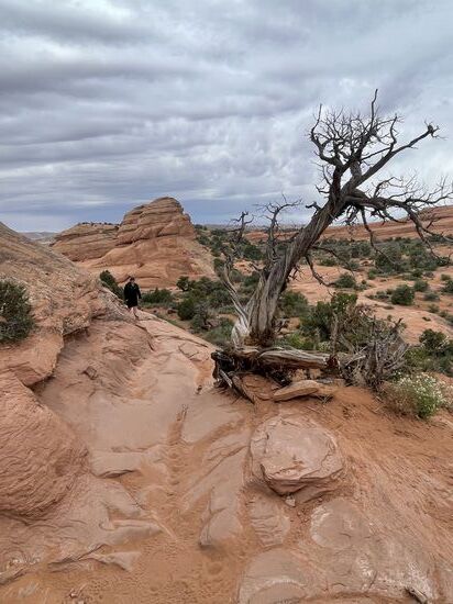 Der Roundtrip ist nur 5km - hat es aber mit seinen 150 Höhenmetern in sich
