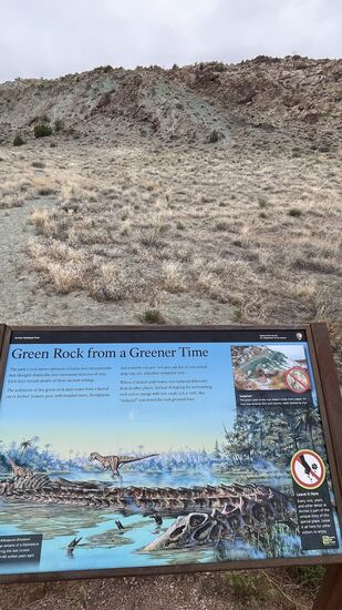 Hier wird erklärt, woher die grüne Farbe der Felsen kommt—reduziertes Eisen welches in sumpfigen Bedingungen entsteht, verleiht dem Gestein diesen grünen Farbton