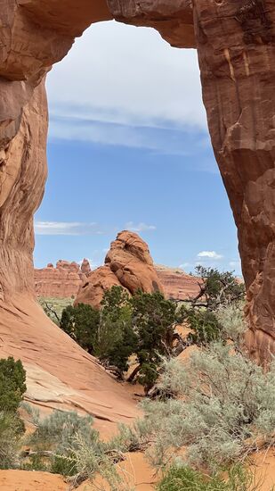 Eines schöner als das nächste…