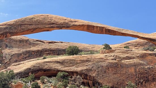 Dieser ist besonders schön!!