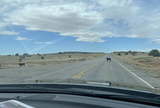 …machen die tatsächlich!!