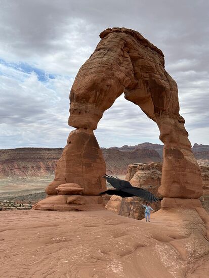 Ein toller Zufalls - Schnappschuss