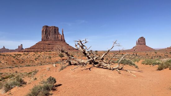 Bobbie hat einige Tricks für schöne Fotos drauf, die er gerne weitergibt
