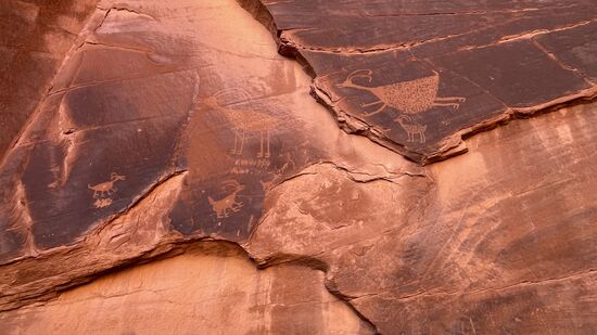 Die Anasazi-Indianer waren die ersten Einwohner des Monument Valleys. Sie bauten die ersten Felsenhöhlen und verschwanden aber vor dem Eintreffen der ersten Weißen im 13. Jh
Die indianischen Steinritzungen zeigen Dickhornschafe